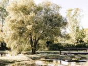 Domaine du Grand Lauron