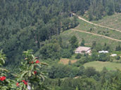 La Grange aux Chouettes