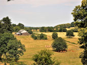 Le Green-Camp d'Octavie