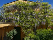 Domaine les Grillons du Verdon