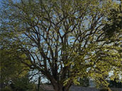 Domaine les Grillons du Verdon