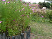 Gîtes des Guibouleraies