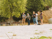 Hostel Quartier Libre