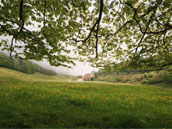 Hostel Quartier Libre