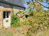 Haie d'Assé et Tournerie