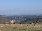 Hameau de Blancard