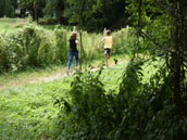 Hameau de Gîtes des Pouyades