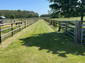 Haras d'Oakland