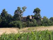 Domaine de Haute Combe