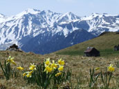 Les Hautes Pierres