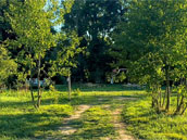 La Joya Factory