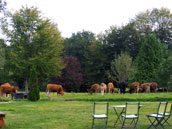 Gîte de Kerlouérien