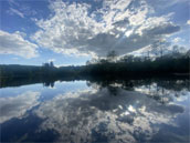 L'Etang de Vie