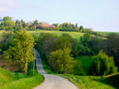 Domaine de La Rougère