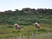 Gite rural La Luc