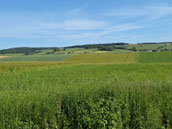 Le Berceau