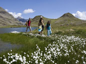 Alpes découverte Le Brudou