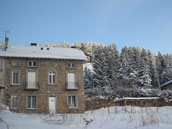 Les Lupins
