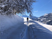 Les Roches
