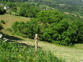 Les Iris