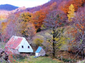 Gite de Liadouze