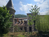 Château Louis XI - Le Logis Royal