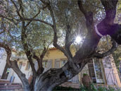Maison Impruneta