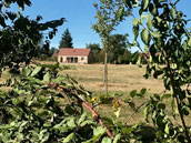 Les Maisons de Brianny