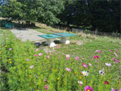 Les Maisons de Coline