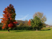 Le Manoir du Chambon