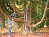 Le Manoir de Thauzac