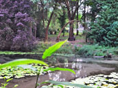 Maringotte de Brocéliande