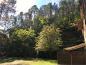 Domaine du Martinet Haut