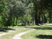 Domaine du Martinet Haut