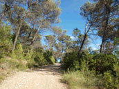 Gîte rural du Mas de Coste