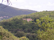 Mas de Gréfeuille