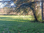 Domaine de la Mayonnette