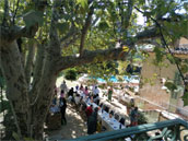 Domaine de la Mayonnette
