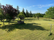 Gite de monette