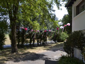 Le Moulin de Montrond