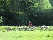 Moulin du Barthas