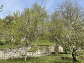 Les gîtes du Moulin de Chaumussay