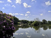 Le Moulin de la Hogue