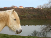 Le Moulin Du Roy