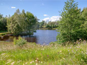 Le Moulin des Templiers