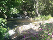 Le Moulin des Vernières