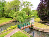 Le Moulin XII