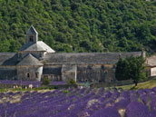 Le Moulin de Lavon