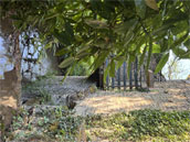 Le Moulin des Marguerites