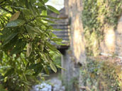 Le Moulin des Marguerites